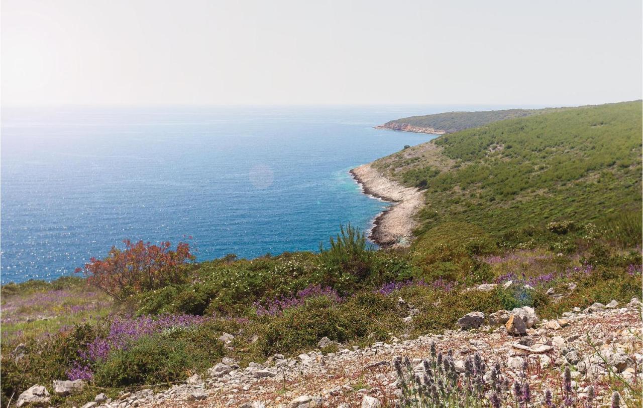 Nice Apartment In Premantura With Wifi Εξωτερικό φωτογραφία